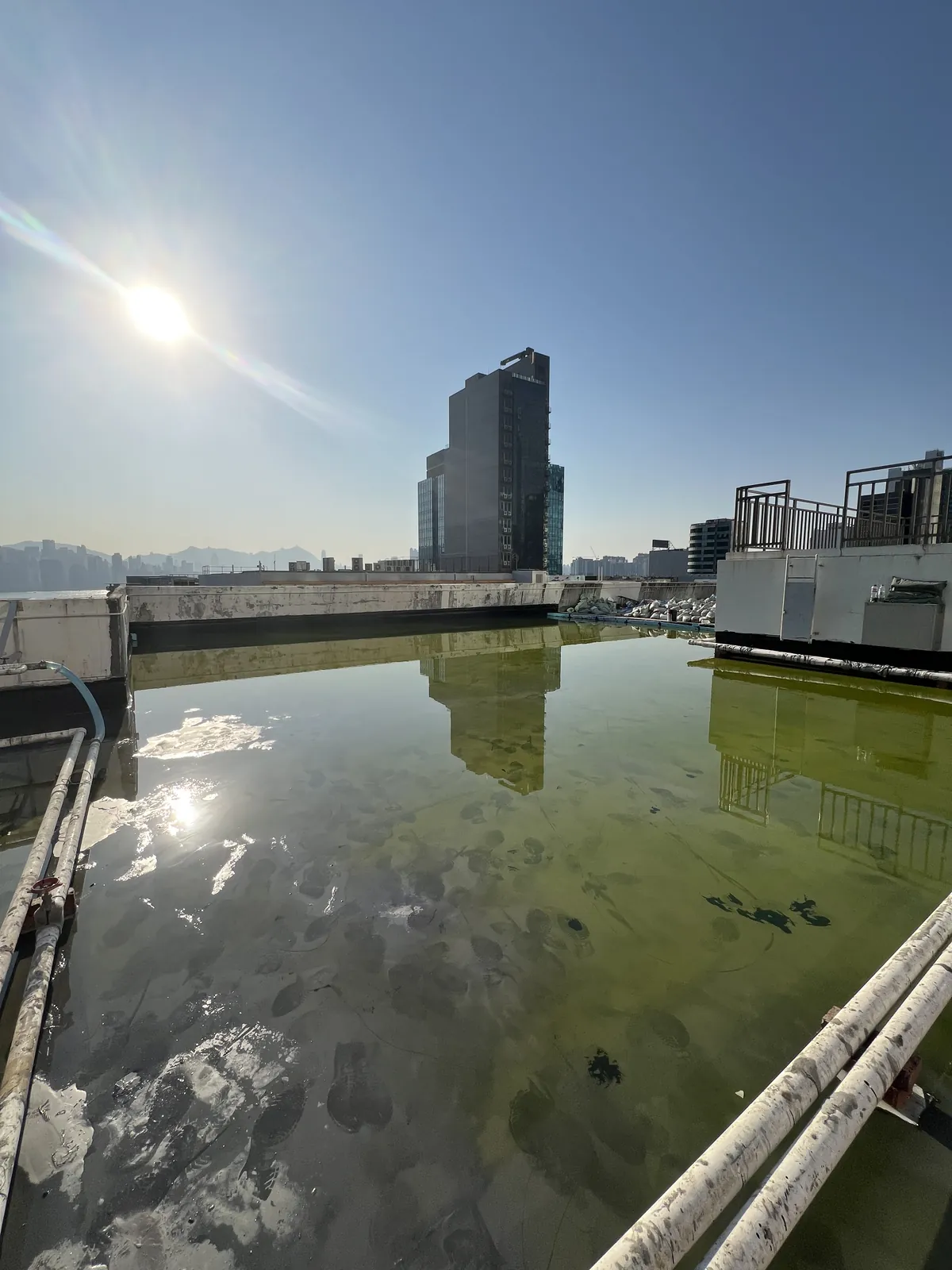 觀塘鴻運工業大廈工程:天台範圍大面積積水的現場狀況